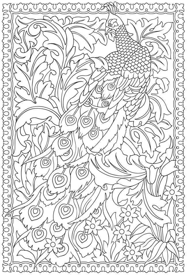 650x953 Peacock Coloring Pages For Adults Educational Coloring Pages