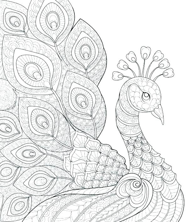 618x706 Coloring Peacock Peacock Coloring Pages Peacock Coloring Pictures