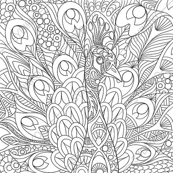 570x570 Peacock. Coloring Page. Animal Coloring Book Pages For Adults.