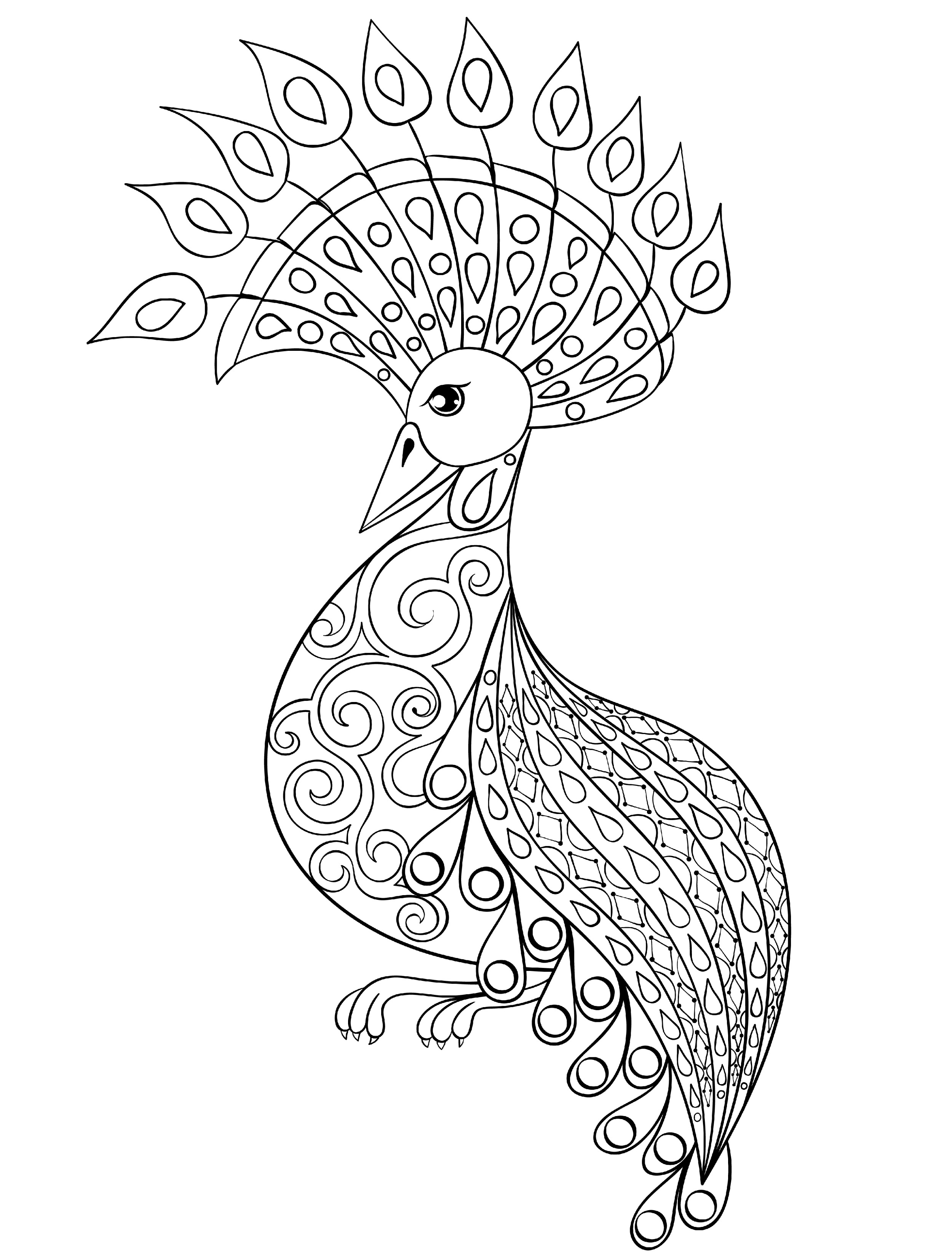 2500x3300 With Peacock Coloring Pages For Adults