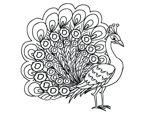 600x448 Peacock Coloring Page Peacock Coloring Pages Tail Expand Peacock