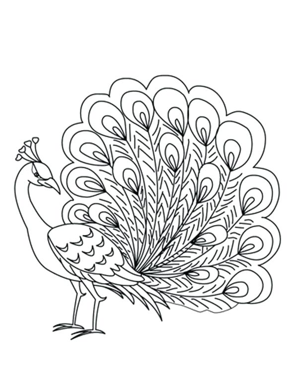 600x775 Peacock Coloring Pages Printable Peacock Coloring Pages Realistic