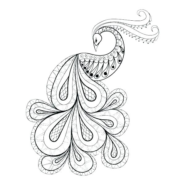 600x600 Peacock Pictures To Color Peacock Color Pictures Kids Coloring