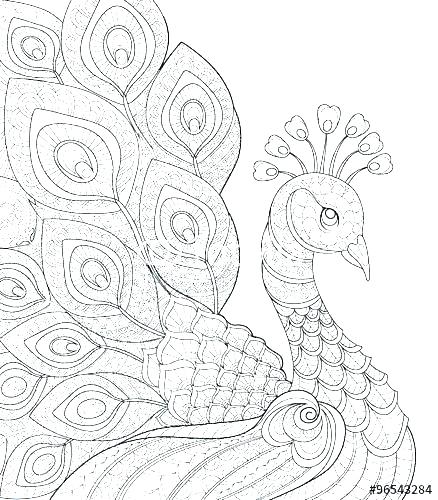 438x500 Coloring Page Peacock Impair.co
