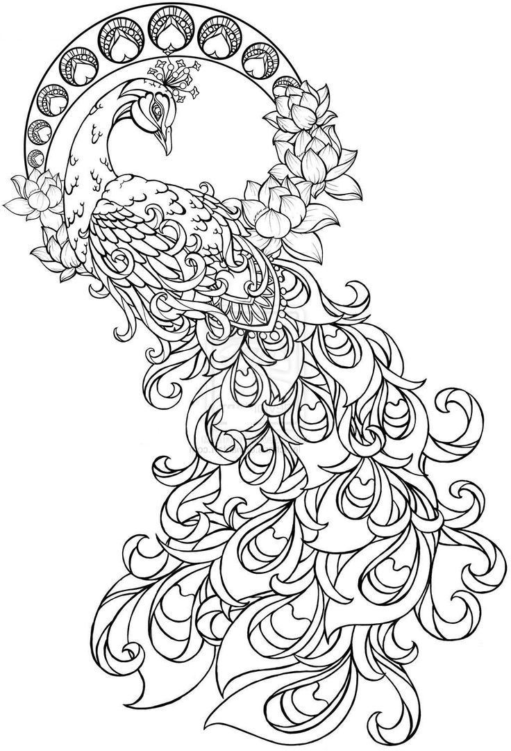 736x1081 Paisley Peacock Coloring Pages For Adults Printable Henna