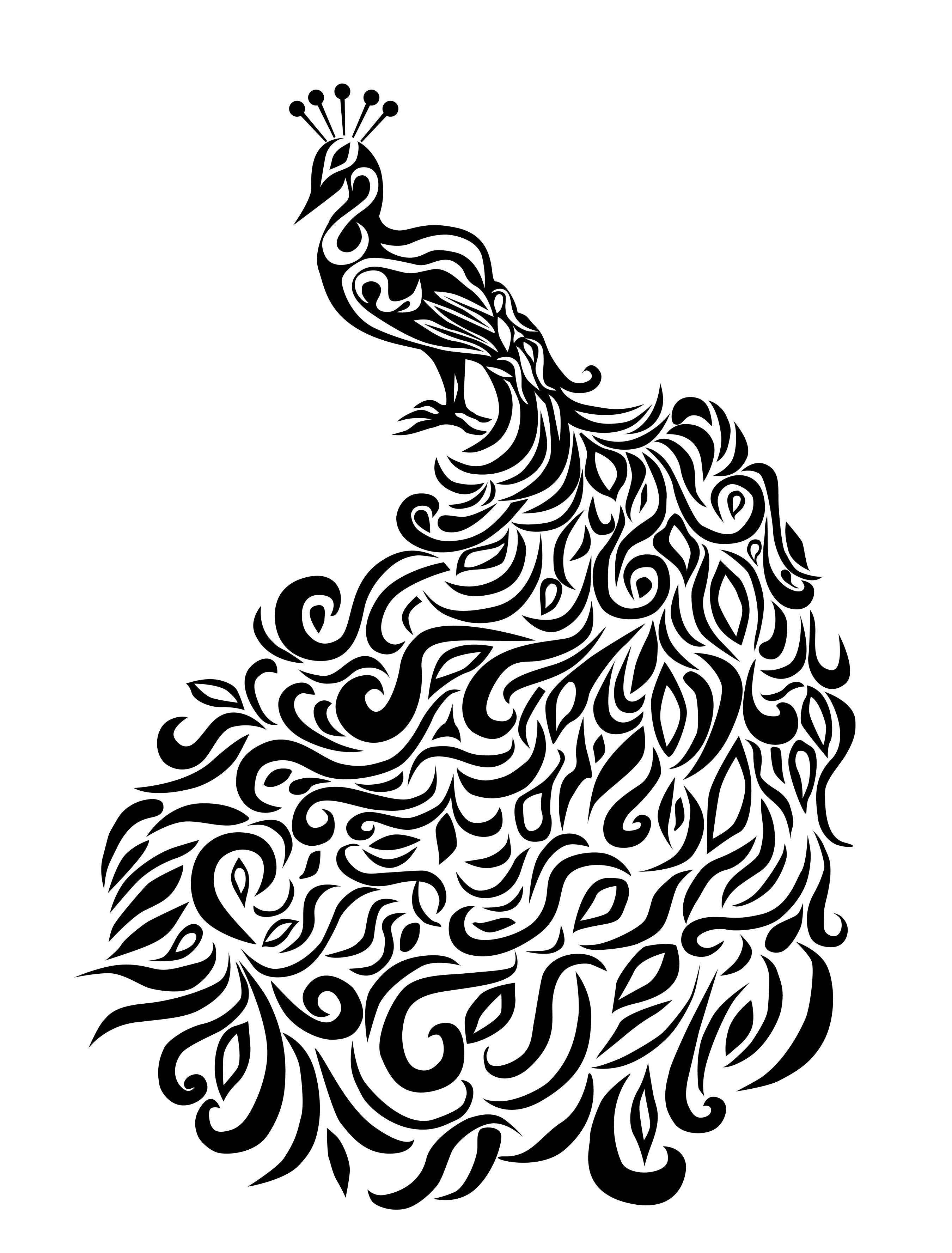 2700x3553 Printable Peacock Coloring Pages Coloring Me