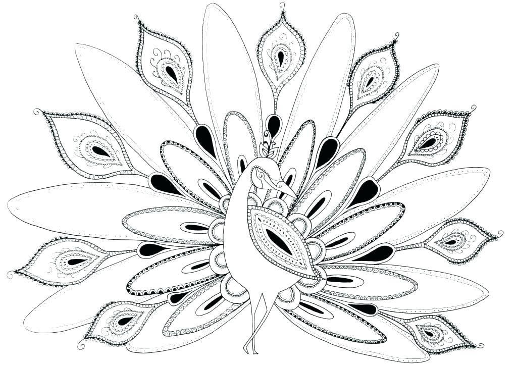 1024x725 Hard Coloring Pages Printable Peacock Coloring Pages To Print New