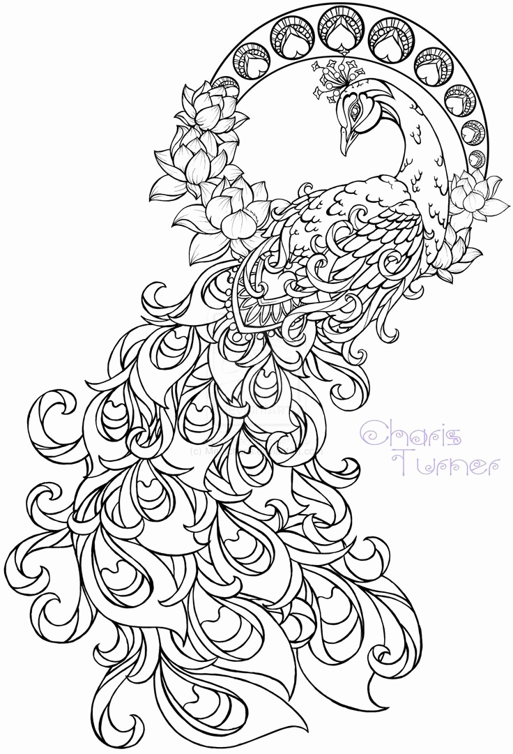 736x1081 Printable Colouring Sheets For Adults Beautiful Peacock Coloring
