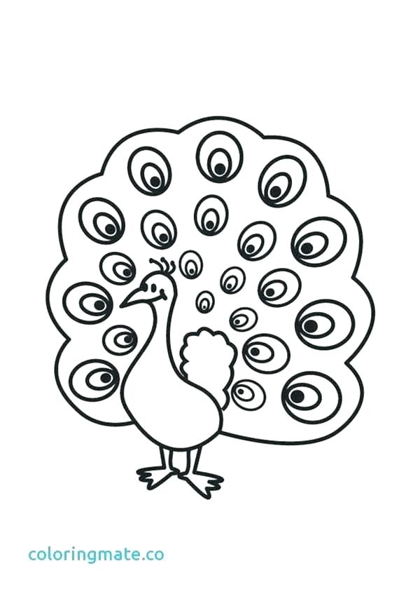 Peacock Feather Coloring Page