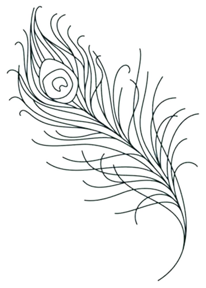 716x998 Feather Coloring Pages Turkey Coloring Pages Free Printable