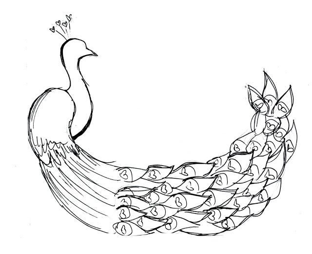 640x521 Free Printable Peacock Coloring Pages For Kids Free Printable