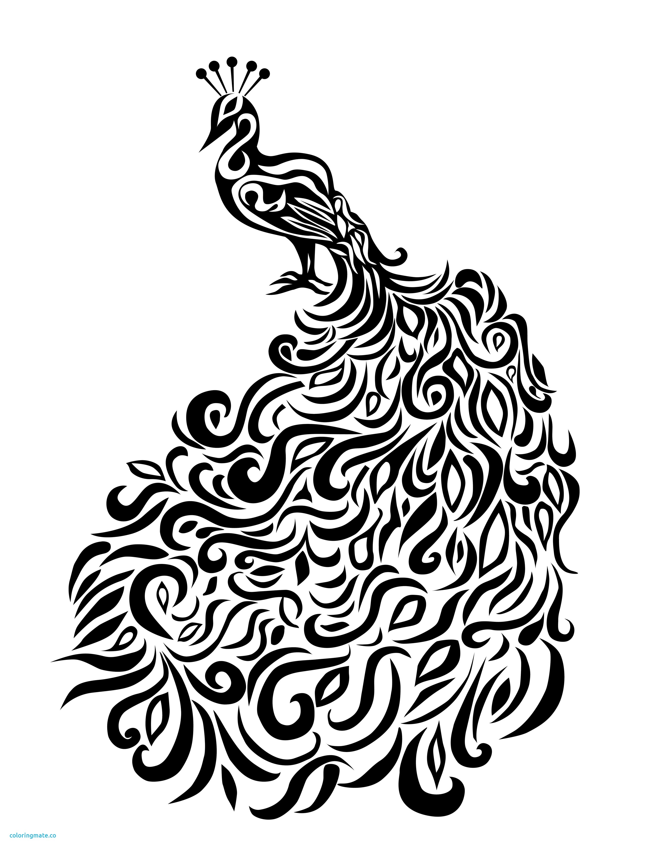 2700x3553 Fresh Peacock Feather Coloring Pages Colouring Adult Detailed