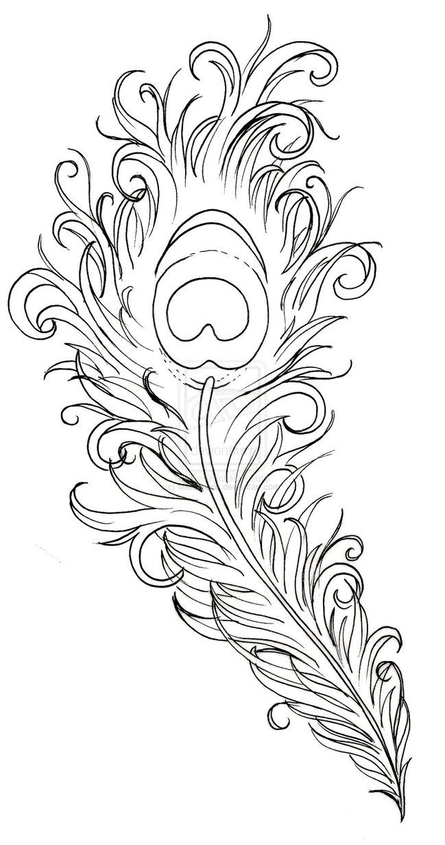 649x1231 Peacock feather drawing Peacock Feather Tattoo By ~metacharis