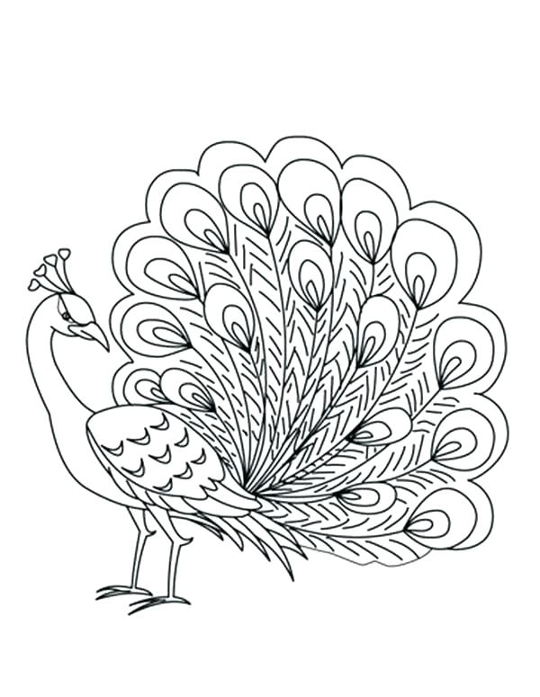 600x775 Coloring Pages Of Peacocks Peacock Adult Coloring Page Black