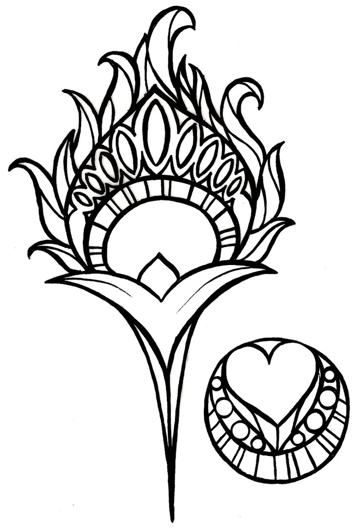 736x1088 Peacock Feather Coloring Page Clipart Panda