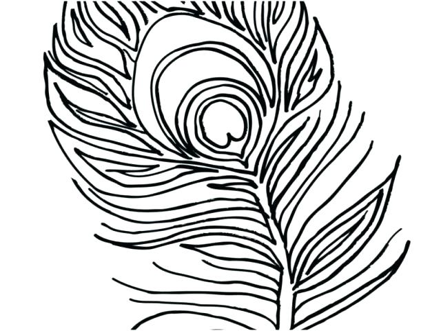 640x480 Peacock Pictures To Color Peacock Coloring Page Coloring Page