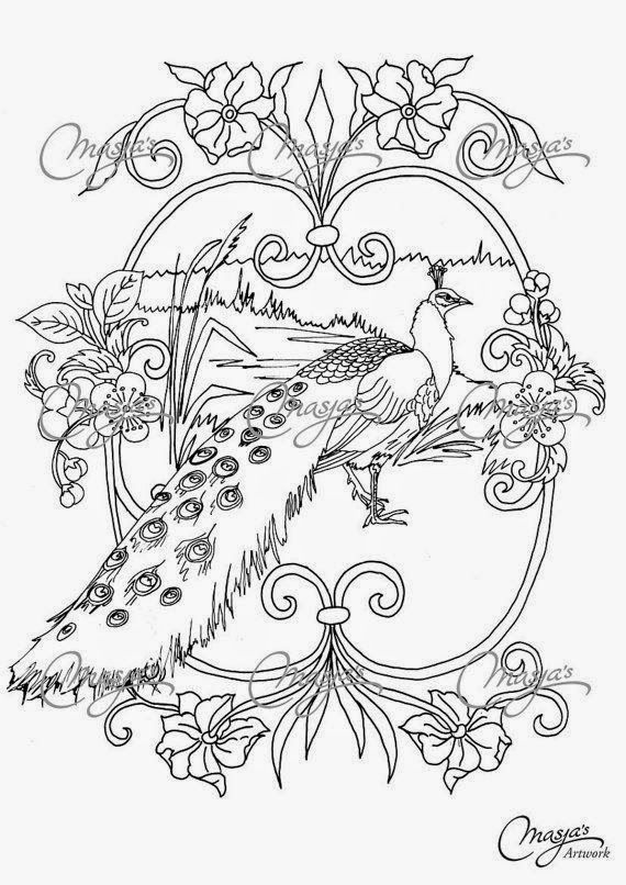 570x806 Pour Les Amoureuses De Paons Birds Of A Feather