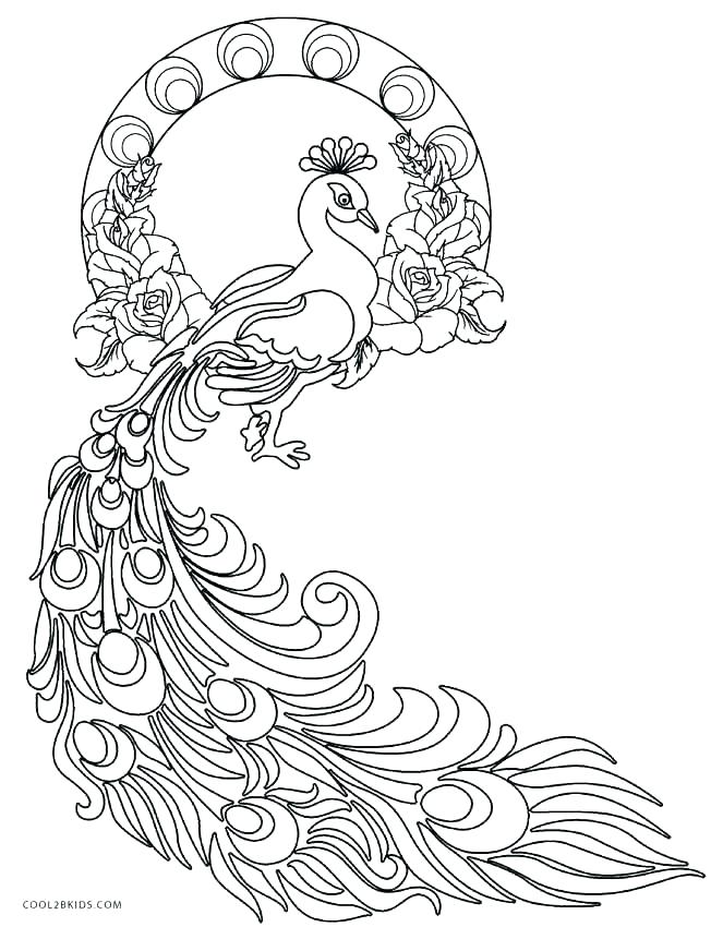 663x850 Feather Coloring Get The Coloring Page Feather Peacock Feather