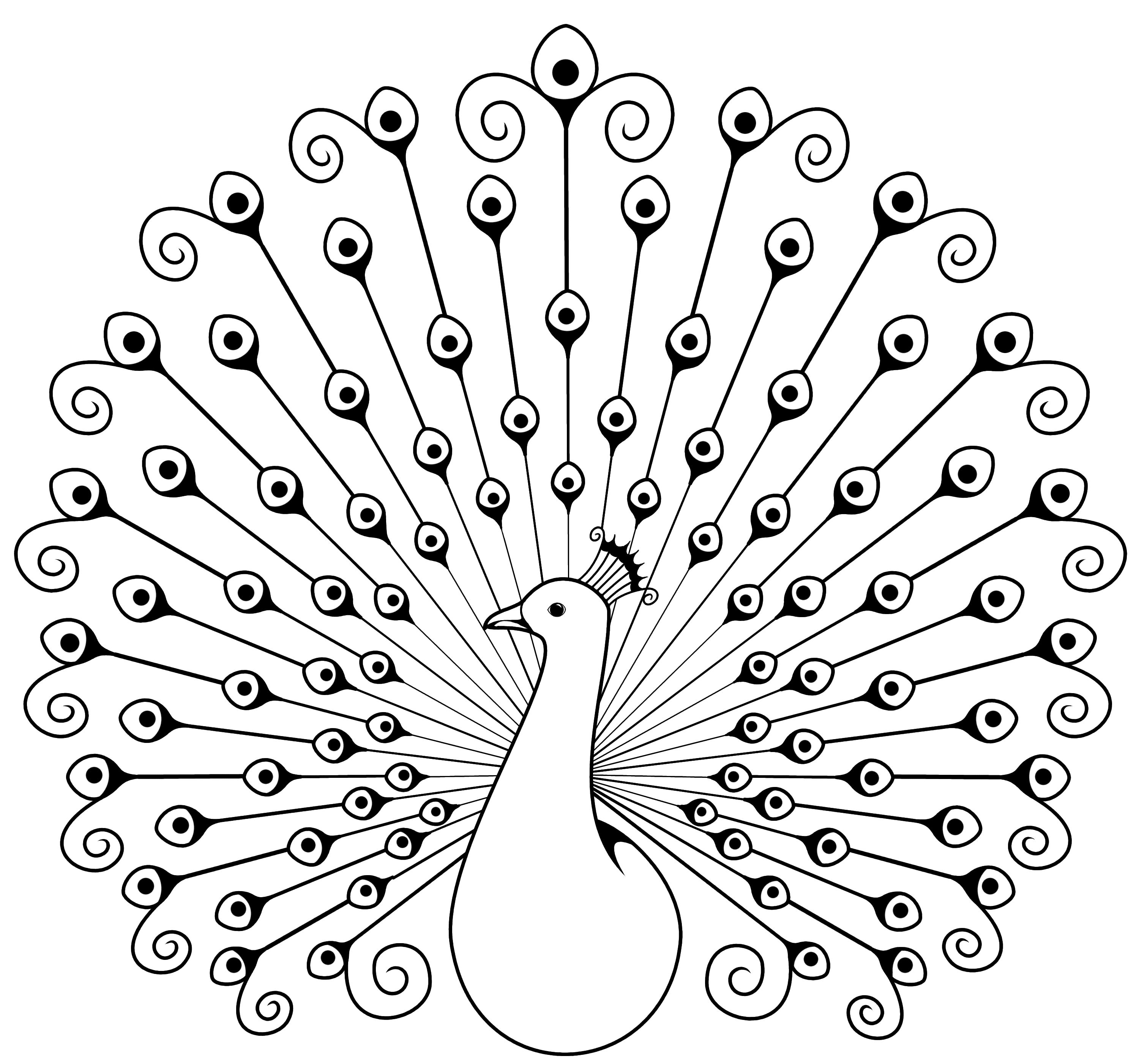 Peacock Pictures Coloring Pages