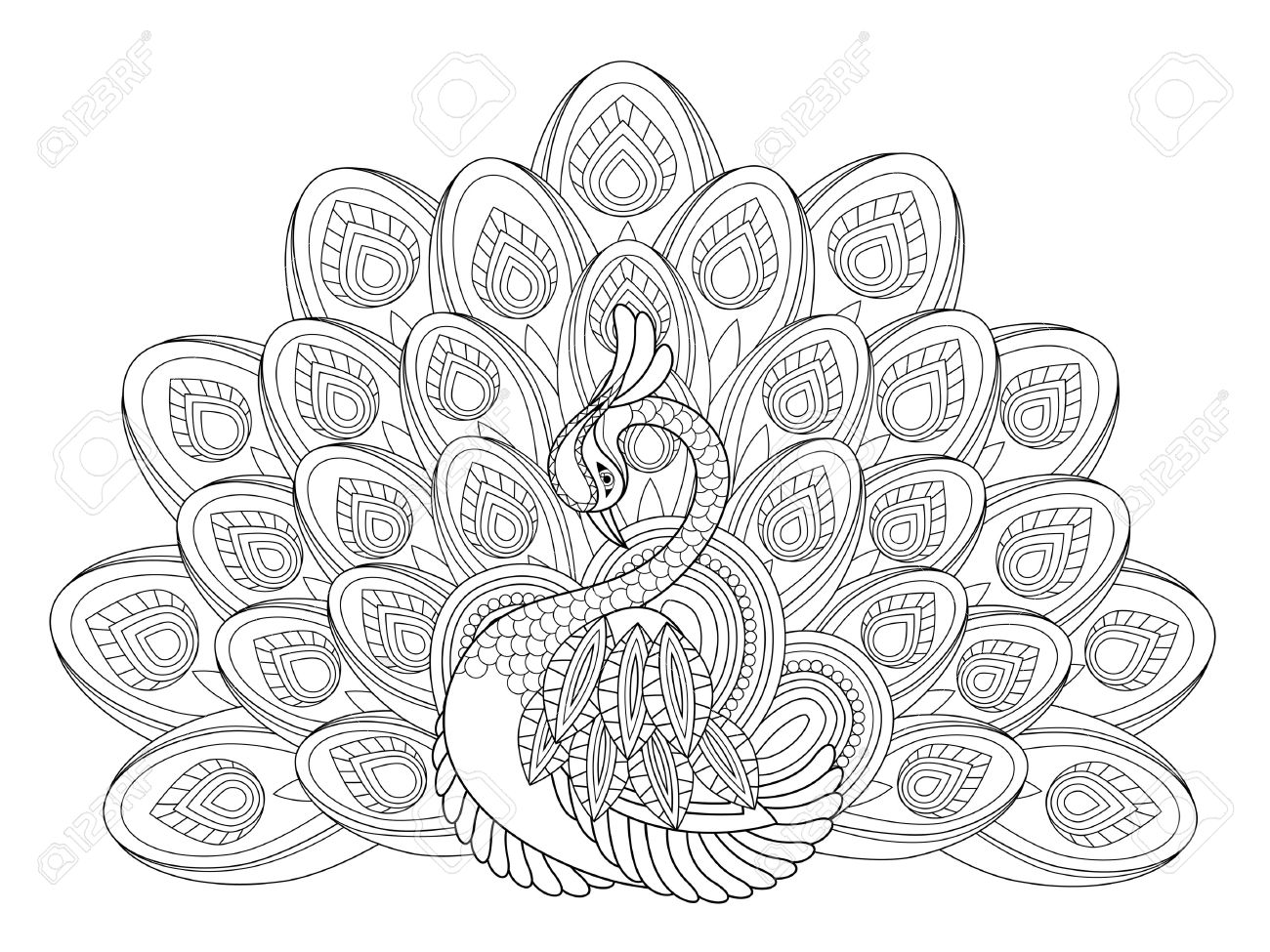 1300x975 Peacock Coloring Page Inspirational Peacock Coloring Pages