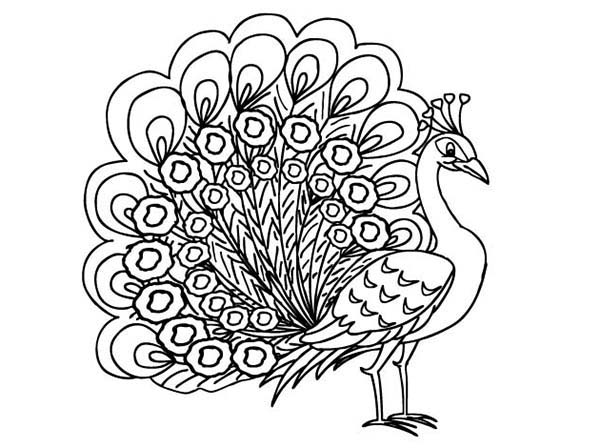 600x448 Beautiful Peacock Coloring Page 50 With Additional Crayola Photo