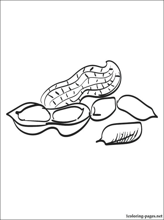560x750 Peanut Coloring Page Coloring Pages Peanut Coloring Page Coloring