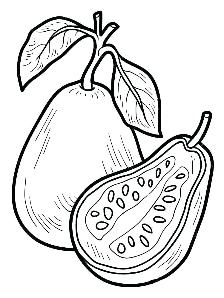 750x1000 Pear Coloring Page Pear Coloring Page Pear Coloring Page Guavas