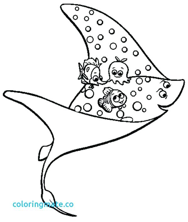 600x708 Finding Coloring Pages Beautiful Finding And Pearl Finding