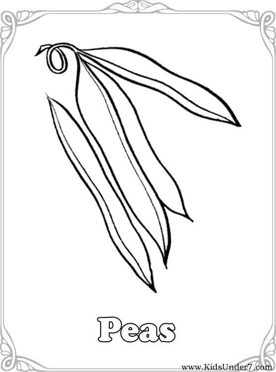 556x749 Vegetables Coloring Pages.vegetable Coloring. Find Free Coloring