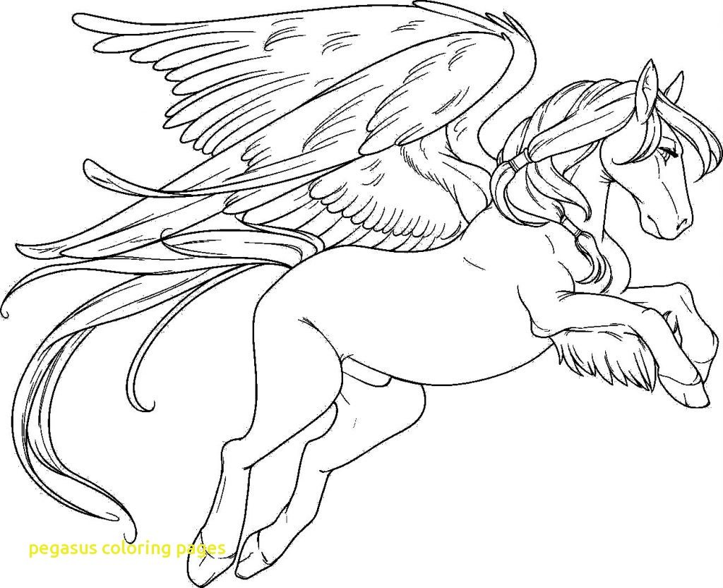 1024x833 Pegasus Coloring Pages
