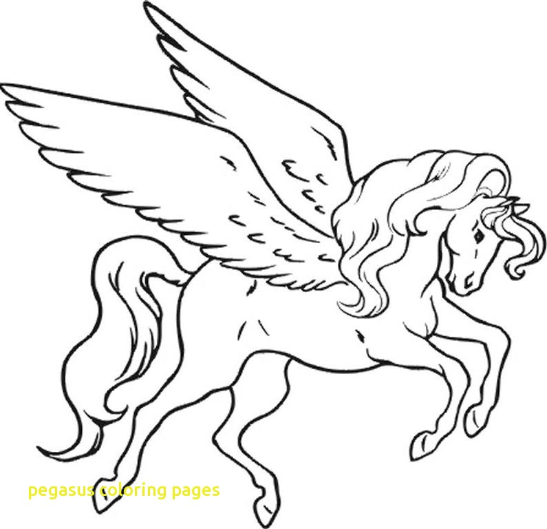 795x768 Pegasus Coloring Pages With Coloring Pages Pegasus