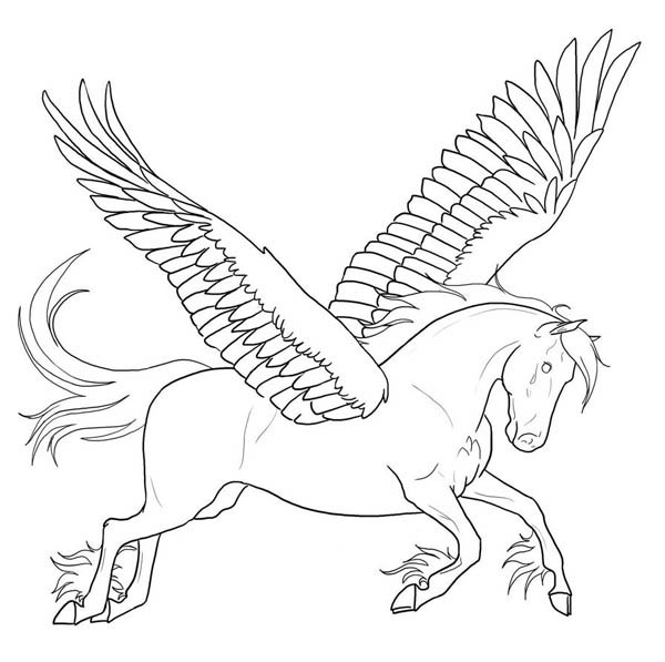 600x597 Awesome Pegasus Coloring Page