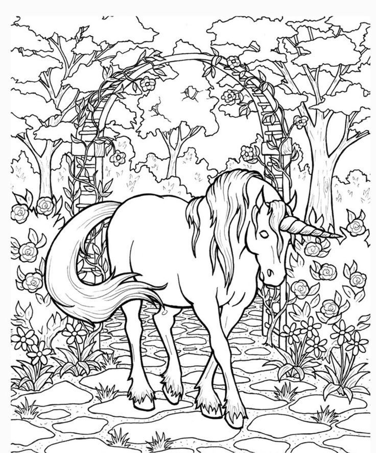 736x888 Unicorn And Pegasus Coloring Pages Icolor Horses (More