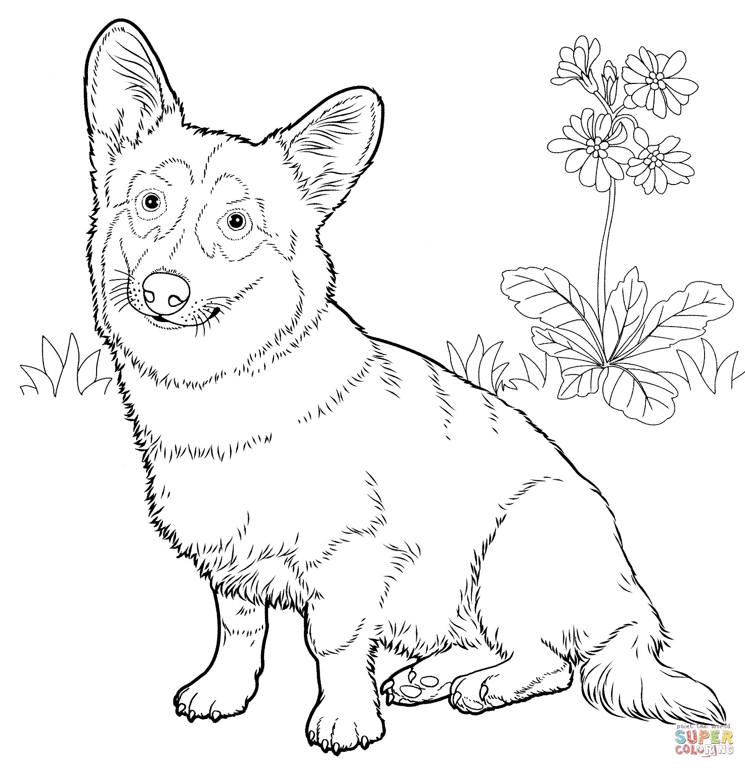 1473x1519 Pembroke Welsh Corgi Coloring Pages Collection Coloring For Kids