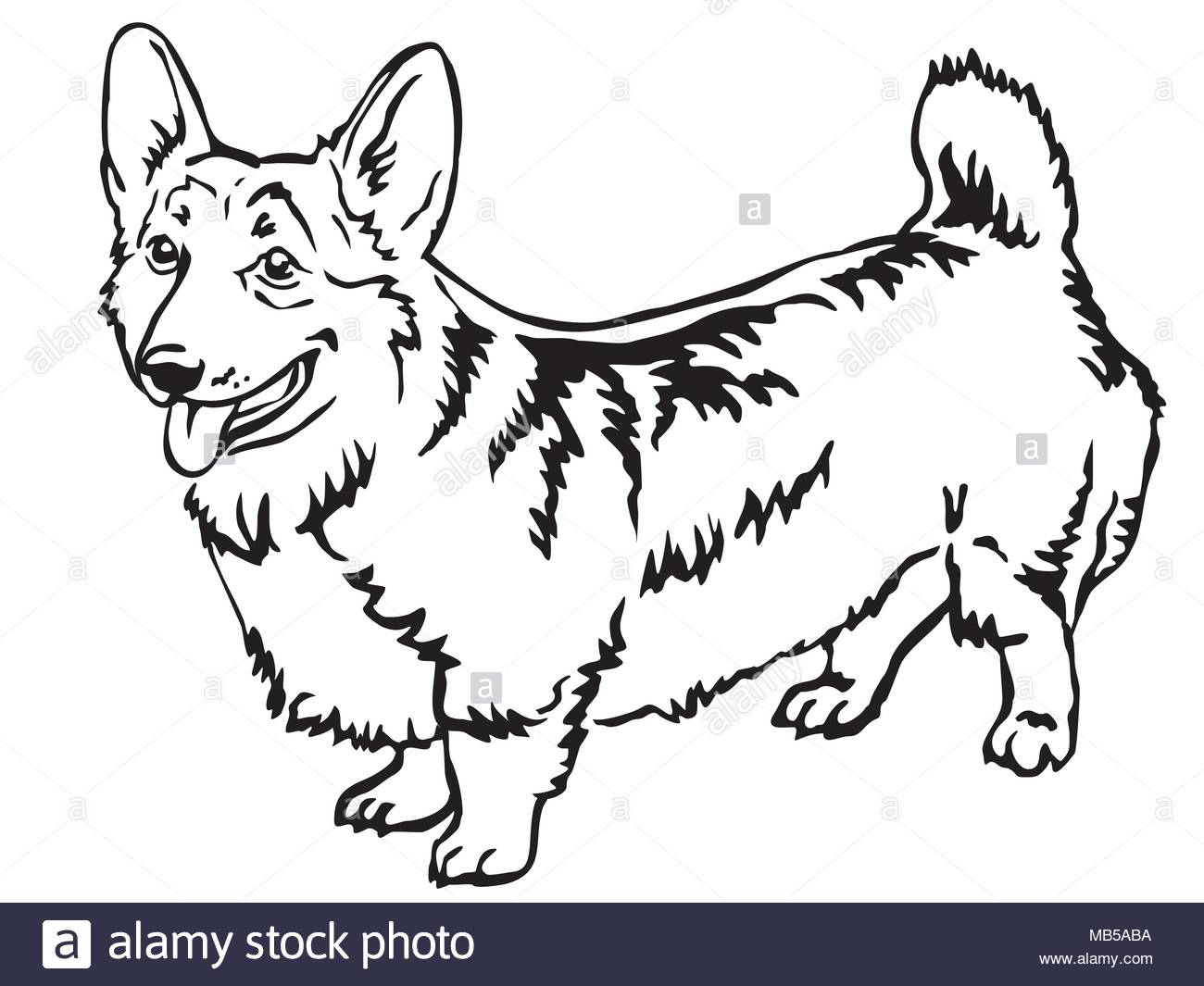 1300x1065 Pembroke Welsh Corgi Cut Out Stock Images Amp Pictures