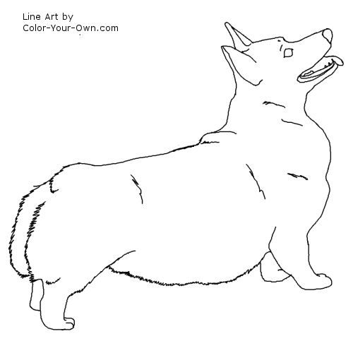 500x500 Welsh Corgi Coloring Pages Pembroke Corgi Dog Line Art Tasha Tudor