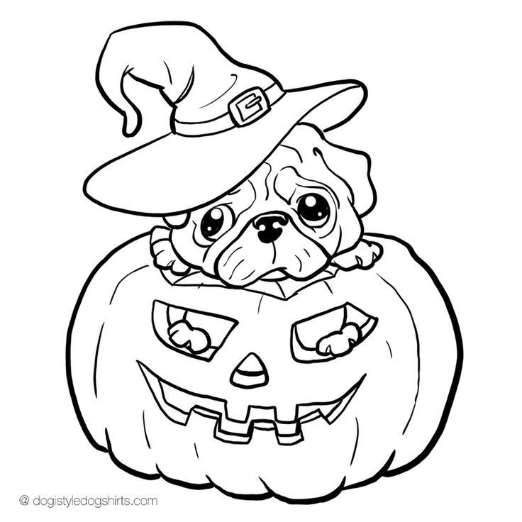 736x736 Pug Pictures To Color 124 Best Coloring Or Pencil Coloring Images