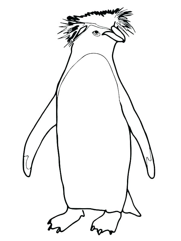 600x800 Cute Penguin Coloring Pages Penguins Coloring Pages Penguin