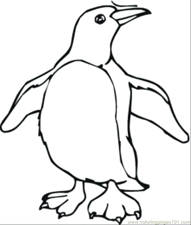 650x767 Erect Crested Penguin Coloring Page Free Printable Coloring Pages