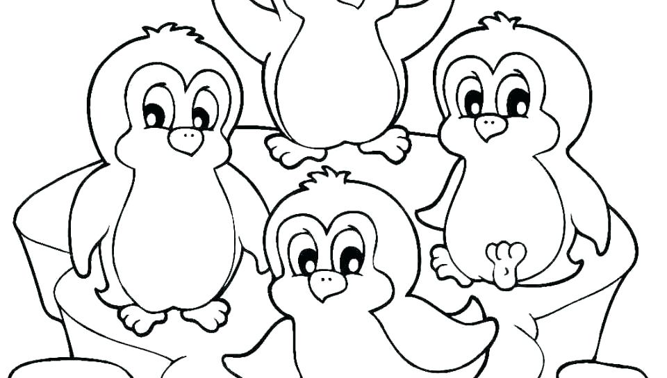 960x544 Penguin Pictures To Color Also Penguin Baby Penguin Coloring
