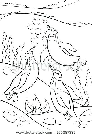 318x470 Penguin Adult Coloring Pages Baby Penguin Coloring Pages Baby