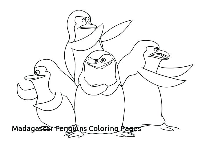 700x500 Coloring Pages Penguins 6 Fabulous Penguin Coloring Page Preschool