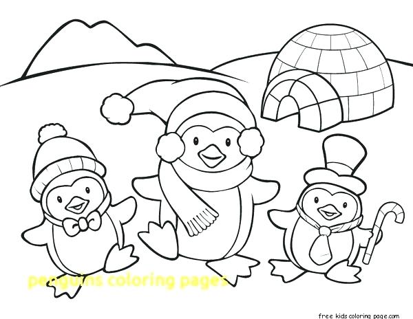 600x464 Penguin Color Page Preschool Penguin Color Page