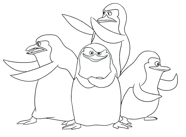 650x480 Penguin Coloring Pages Coloring Pages Coloring Penguin Coloring