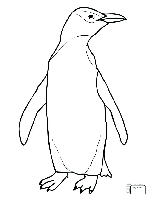 618x824 Club Penguin Printable Pictures Kids Coloring Penguin Coloring