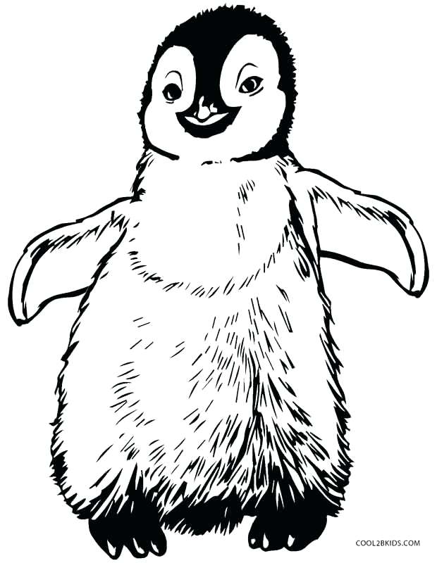 620x800 Penguin Coloring Pages Epic Penguin Coloring Pages For Image