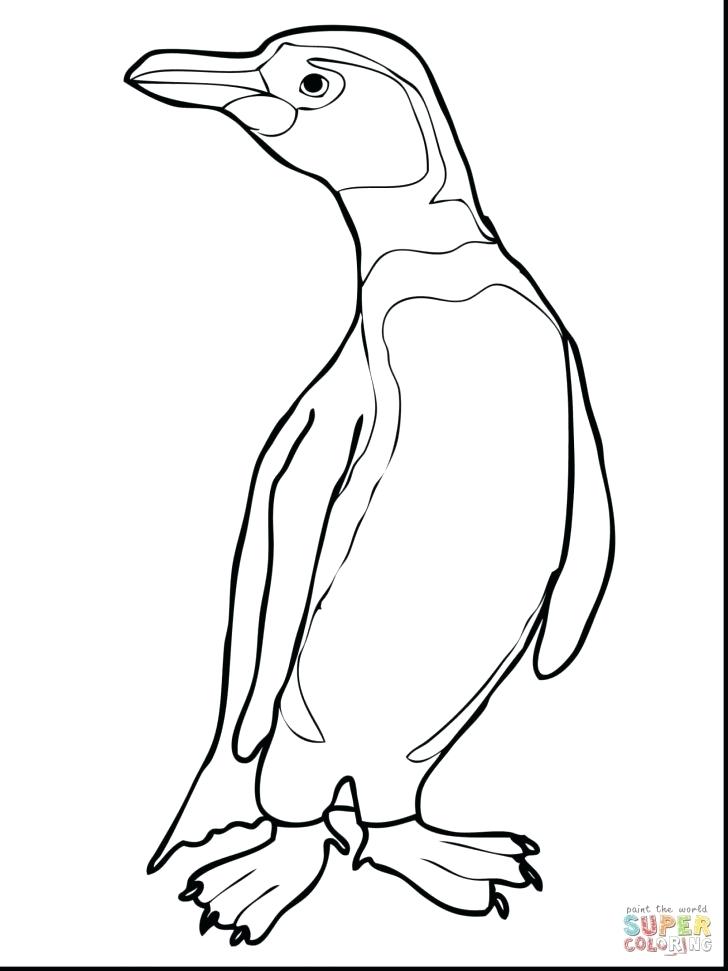 728x971 Penguin Coloring Pages Penguin Coloring Page Penguins Coloring