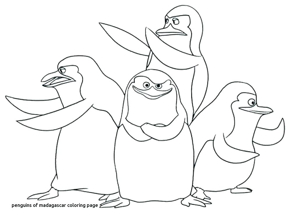 1024x756 Gloria Madagascar Coloring Pages Coloring Pages Penguins