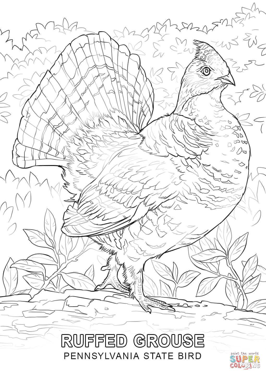 Pennsylvania Coloring Pages