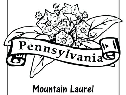 440x330 Pennsylvania Coloring Pages State Flower Coloring Pages State